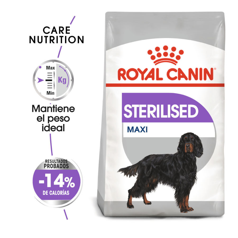 12 kg Royal Canin Sterilised Maxi pienso para perros, , large Imagen numero 2